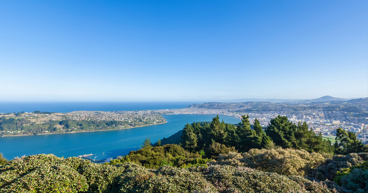 Beautiful Cityscape View Of The Dunedin