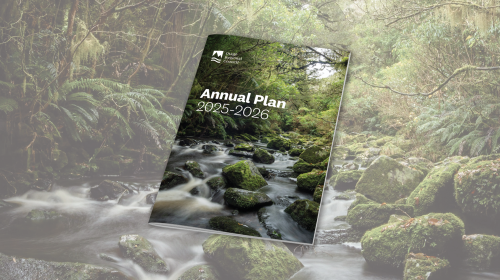 Annual Plan 25 26 Web Tile