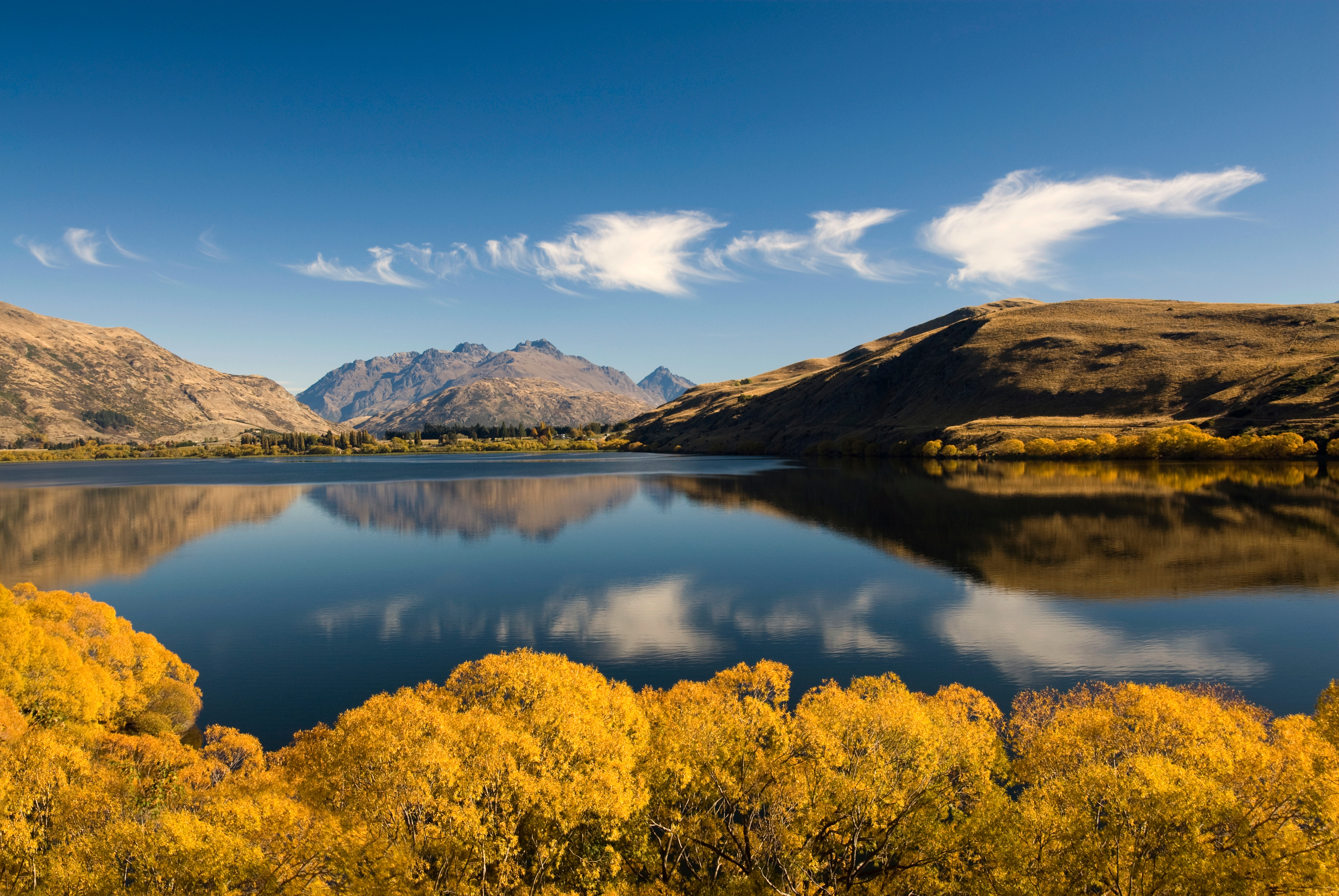 Autumn Colors On Lake Hayes Located In The Wakatipu Basin In Central Otago Adobestock 659729899