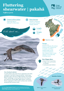 Fluttering Shearwater Pakahā Thumbnail