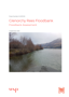 Cover Glenorchy Rees Floodbank Assessment September 2020 Ja