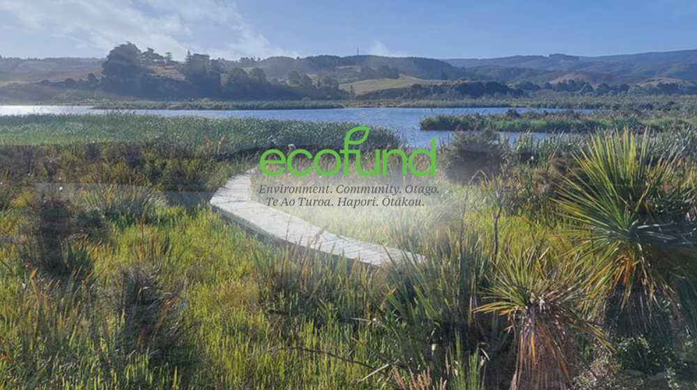 Eco Fund Background Singclair Wetlands Logo