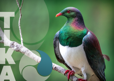 TIKA – We Do The Right Thing And Do Things Right