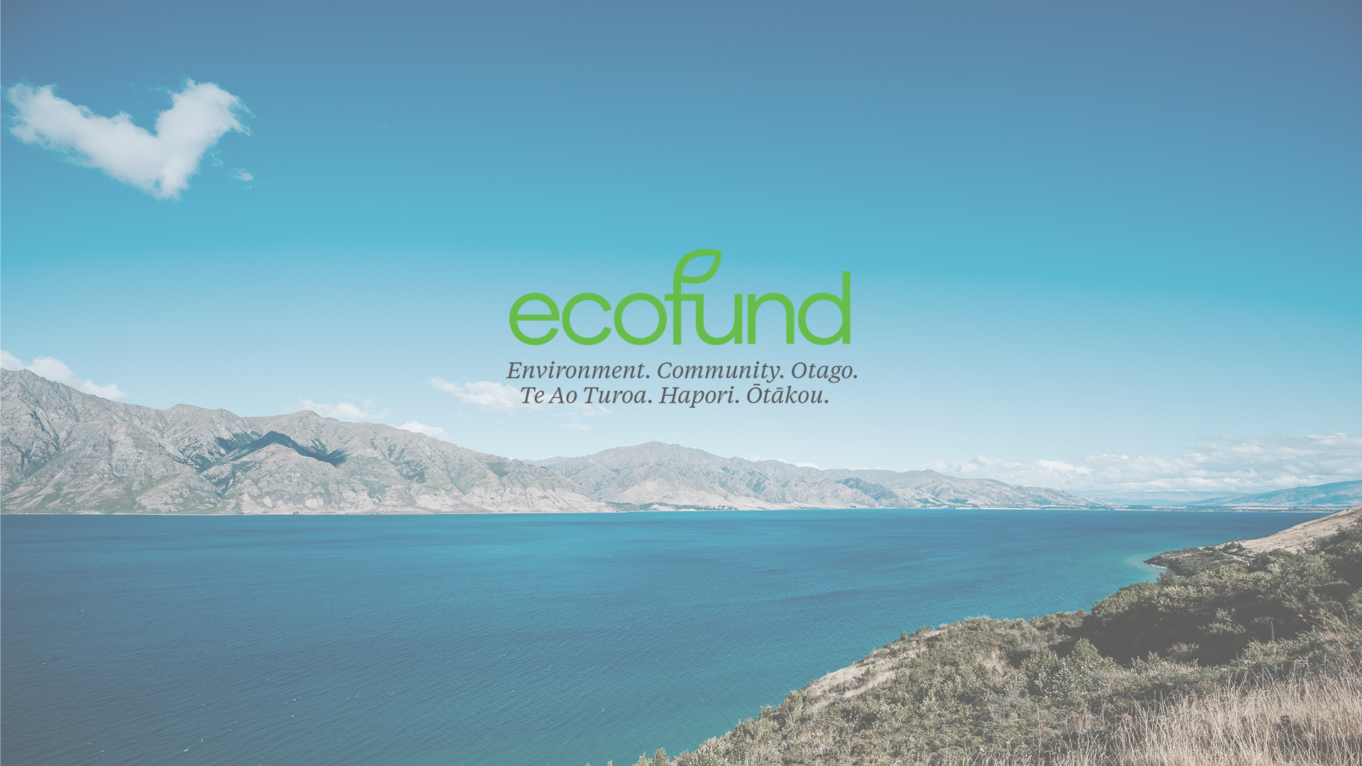 Eco Fund Background Logo