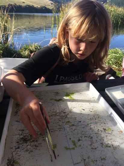 Tomahawk Lagoon Community Day 2024 Photo By Renee Pearson 4