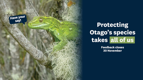 Photo of green gecko on tree branch.