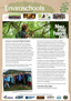 Cover Otago Enviroschools 2014 2015 Newsletter