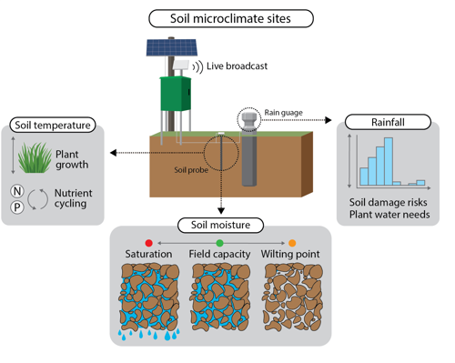 Diagram showing how Soil temperature, soil moisture and rainfall can be monitored in a soil microcliamte site