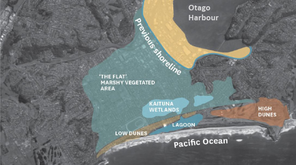 south dunedin brochure map graphic.png