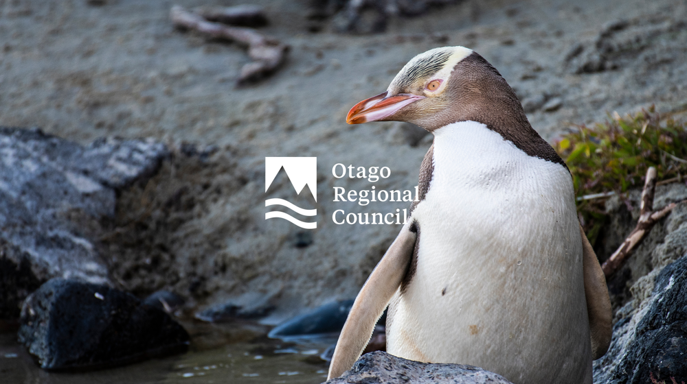 Yellow Eyed Penguin With Orc Logo