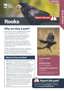 Rooks R Pest Fact Sheets A4 Nov 2025 Page 1