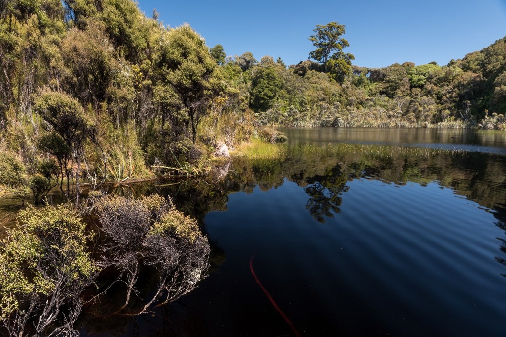 Lake Wilkie, Catlins