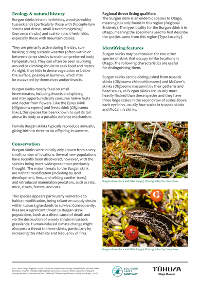 Internal Page Example From Skinks Of Otago Guides Page 2
