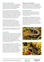 Internal Page Example From Skinks Of Otago Guides Page 2