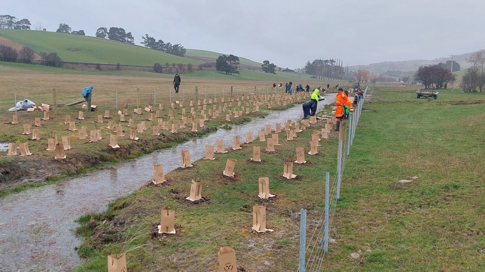 Toitū Te Hakapupu Planting Day Aug 2024