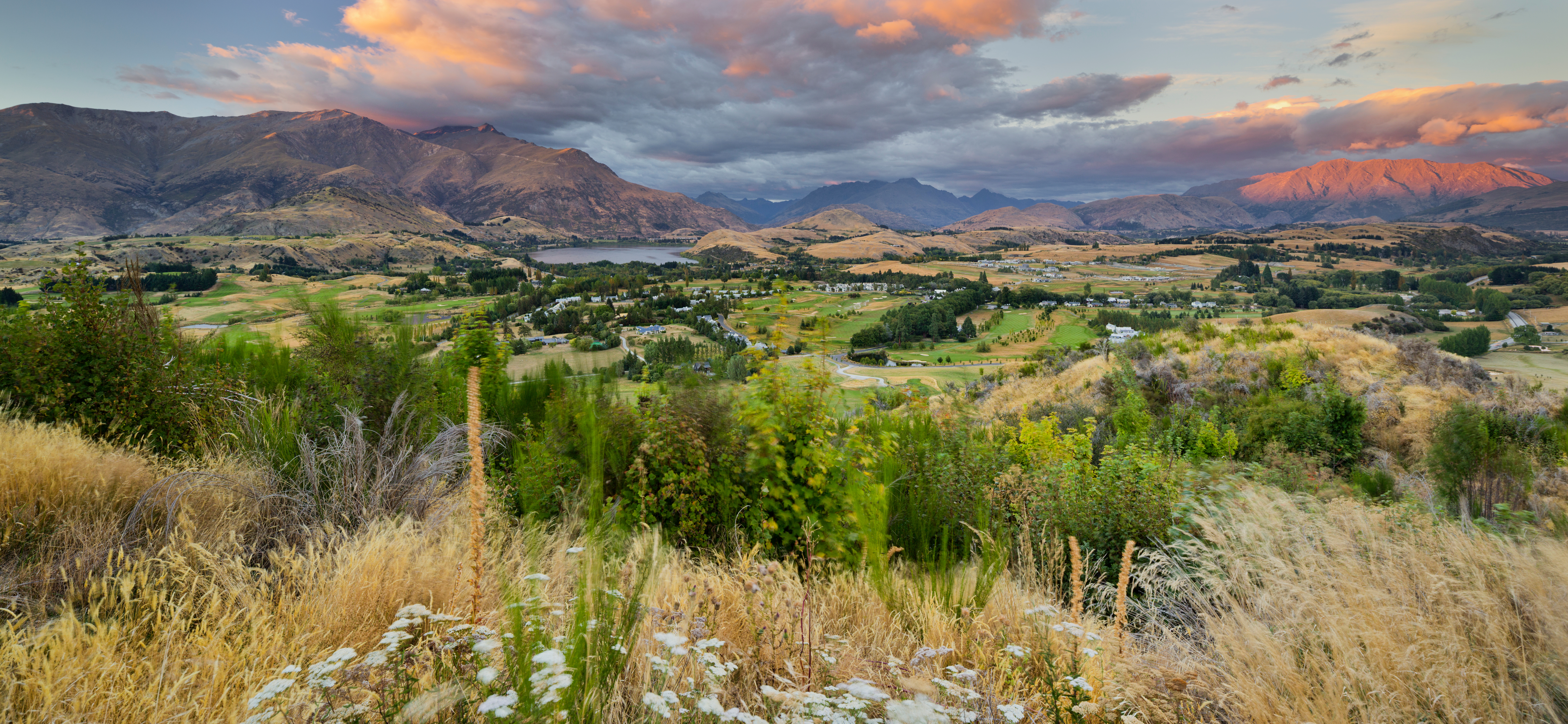 Arrowtown Feehly Hill Scenic Reserve Adobestock 757957219