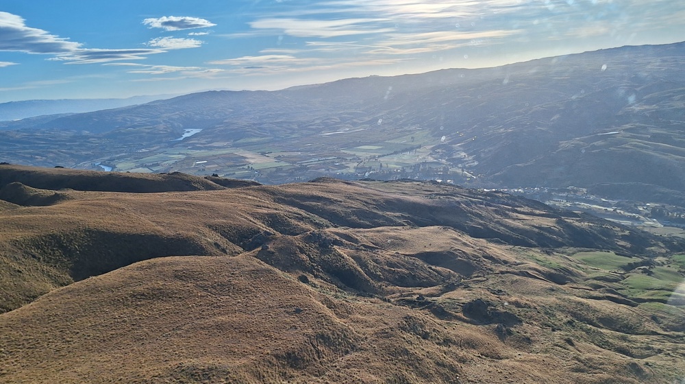 Roxburgh Flyover Showing Feeder