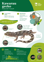 Orc Kawarau Gecko A4 2024