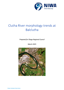 Cover Clutha River Morphology Trends At Balclutha (March 2025)