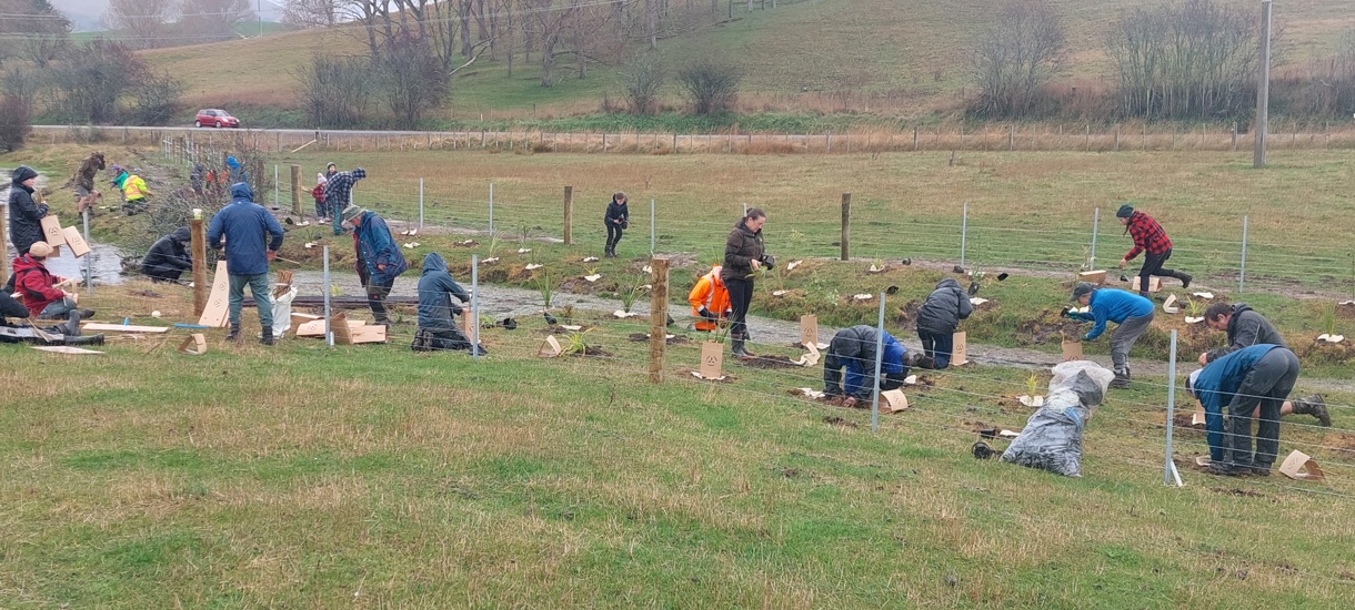 Group Effort Toitū Te Hakapupu Planting Day Aug 2024