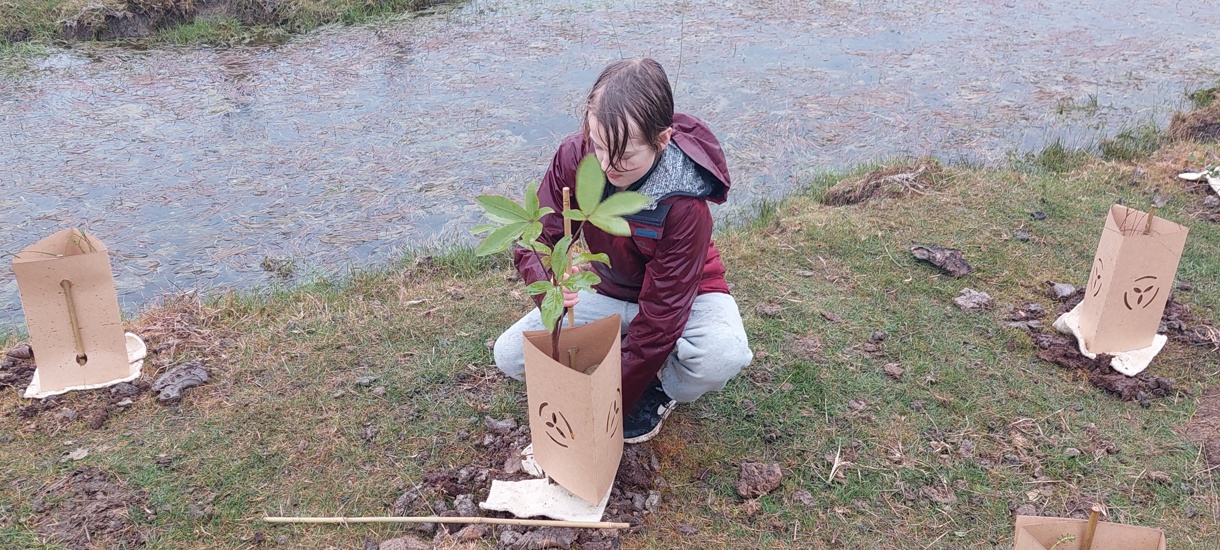 Planting Trees Toitū Te Hakapupu Planting Day Aug 2024