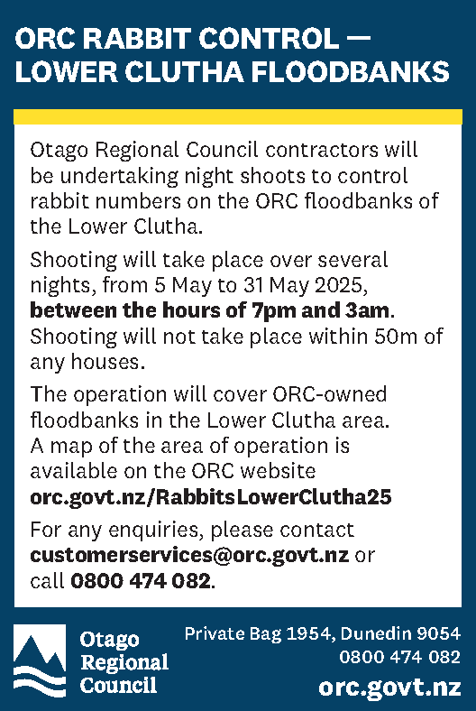 Image of the text only public notice that is printed in the newspaper