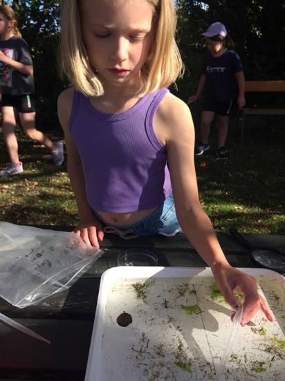 Tomahawk Lagoon Community Day 2024 Photo By Renee Pearson 6