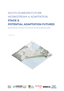 Cover Potential Adaptation Futures For South Dunedin Context Summary Report
