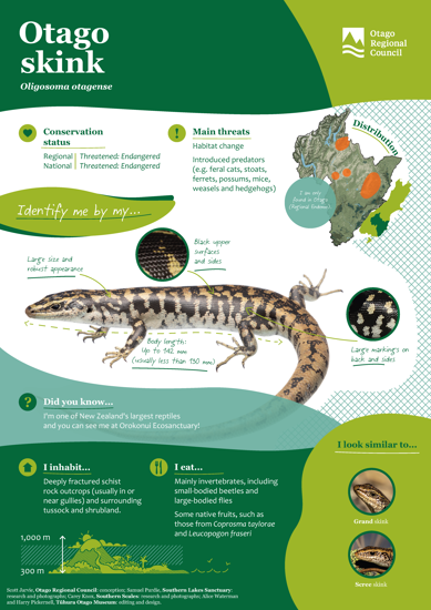 ORC Otago Skink A4 2024