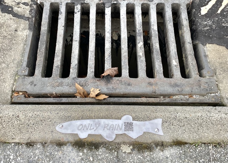 Example of an ORC adopt a drain fish, made of metal with a QR code, the put on a stormwater drain that has been adopted