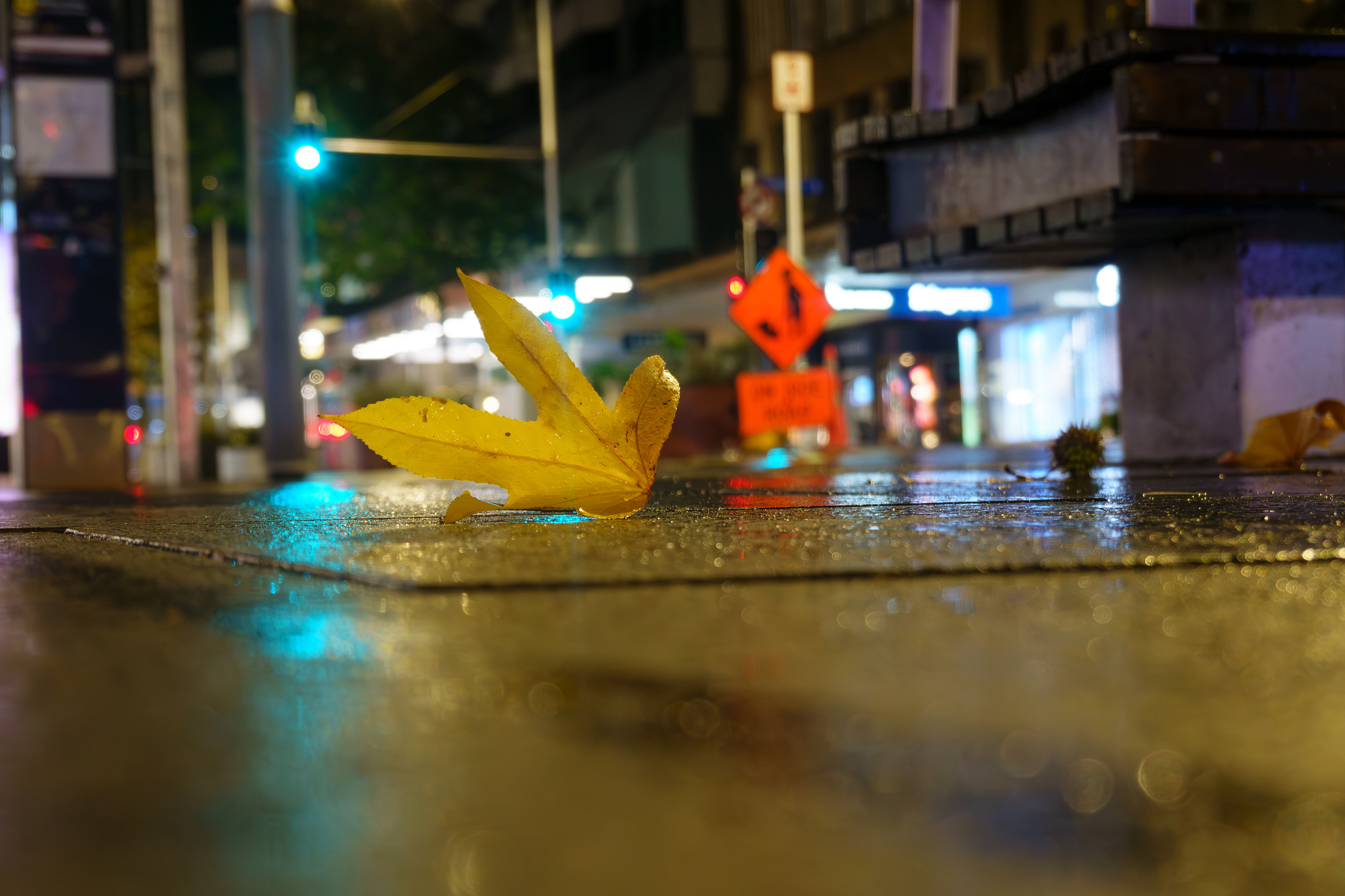 Golden Leaf On Sidewalk Against Blurred Urban Background On Rainy Night And Wet City Street In Darkness Of Morning. Adobestock 621027632