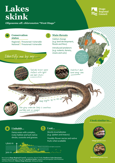 ORC Lakes Skink A4 2024 (1)