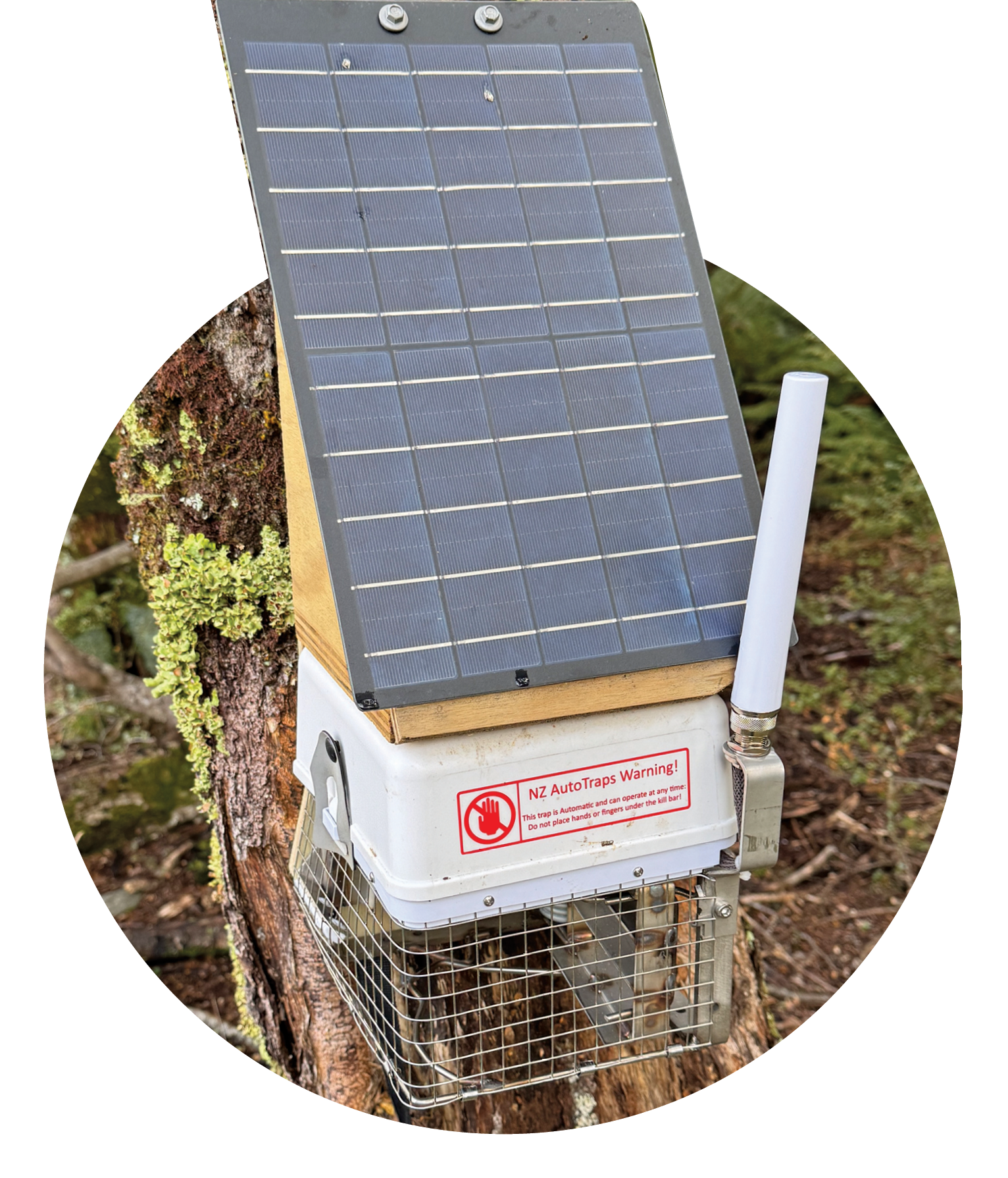 The radio network was installed to support the rollout of the new AT520 traps