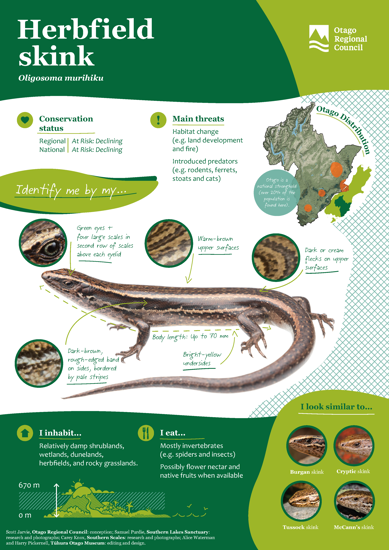 ORC Herbfield Skink A4 2024 (1)