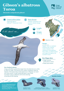 Gibson's Albatross Toroa Thumbnail
