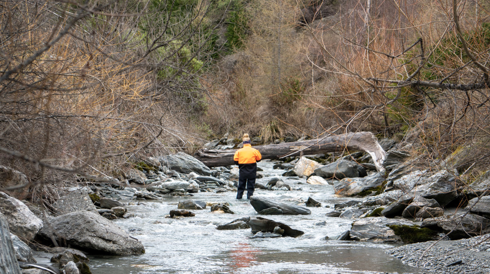 Jono Young Otago Scenic 2020 24 (834)