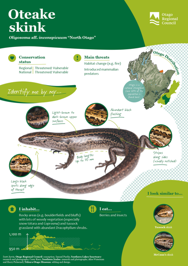 ORC Oteake Skink A4 2024 (1)