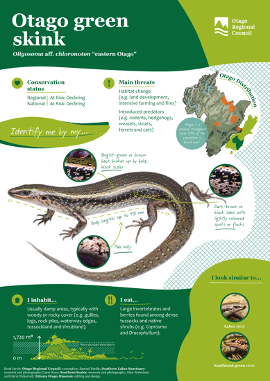 ORC Otago Green Skink A4 2024 (1)