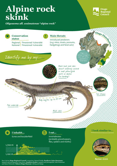 ORC Alpine Rock Skink A4 2024 (1)