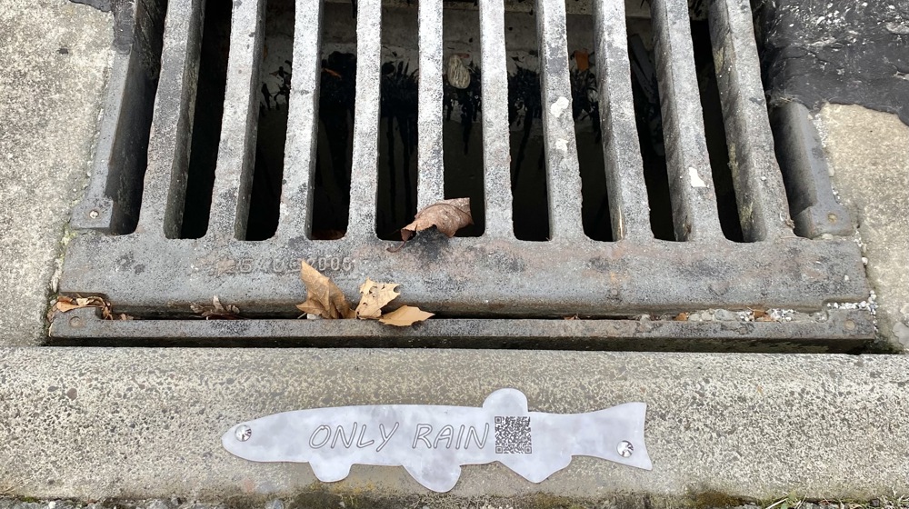 ORC Metal Fish Example Cromwell (1)