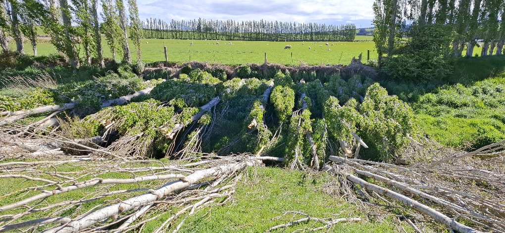 20251026 160651 Resized 1