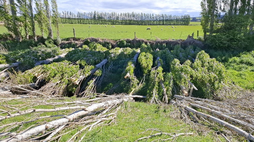 20251026 160651 Resized 1