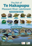 Fish Of The Te Hakapupu Pleasant River Estuary Poster 2024