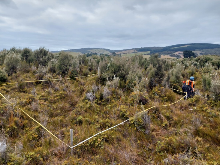 Wetland Monitoring Tahakopa Marshes Catlins