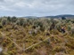 Wetland Monitoring Tahakopa Marshes Catlins