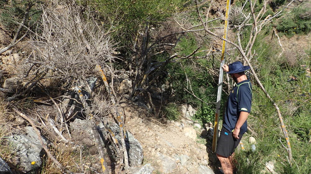 Orc Staff Confirming Dam Height