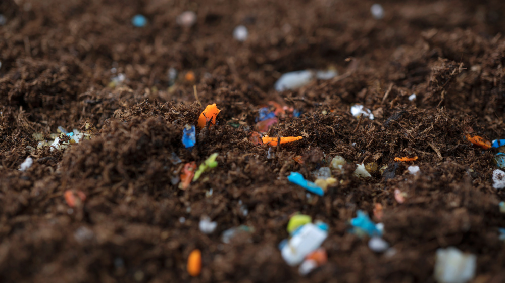 Microplastics Inside Soil Adobestock 494570213