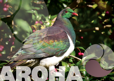 AROHA – We Show That We Care