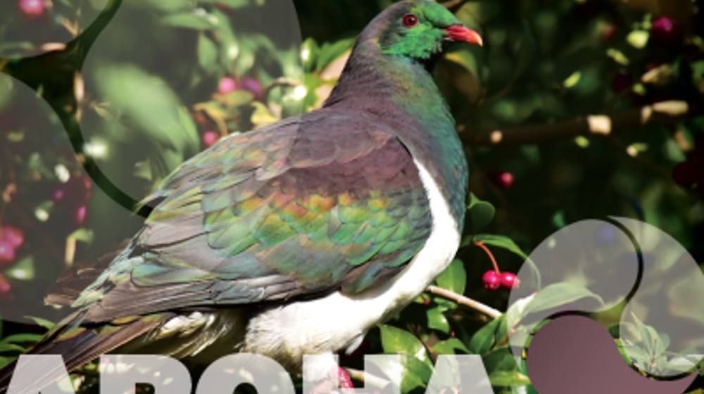 AROHA – We Show That We Care