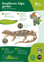 Orc Southern Alps Gecko A4 2024